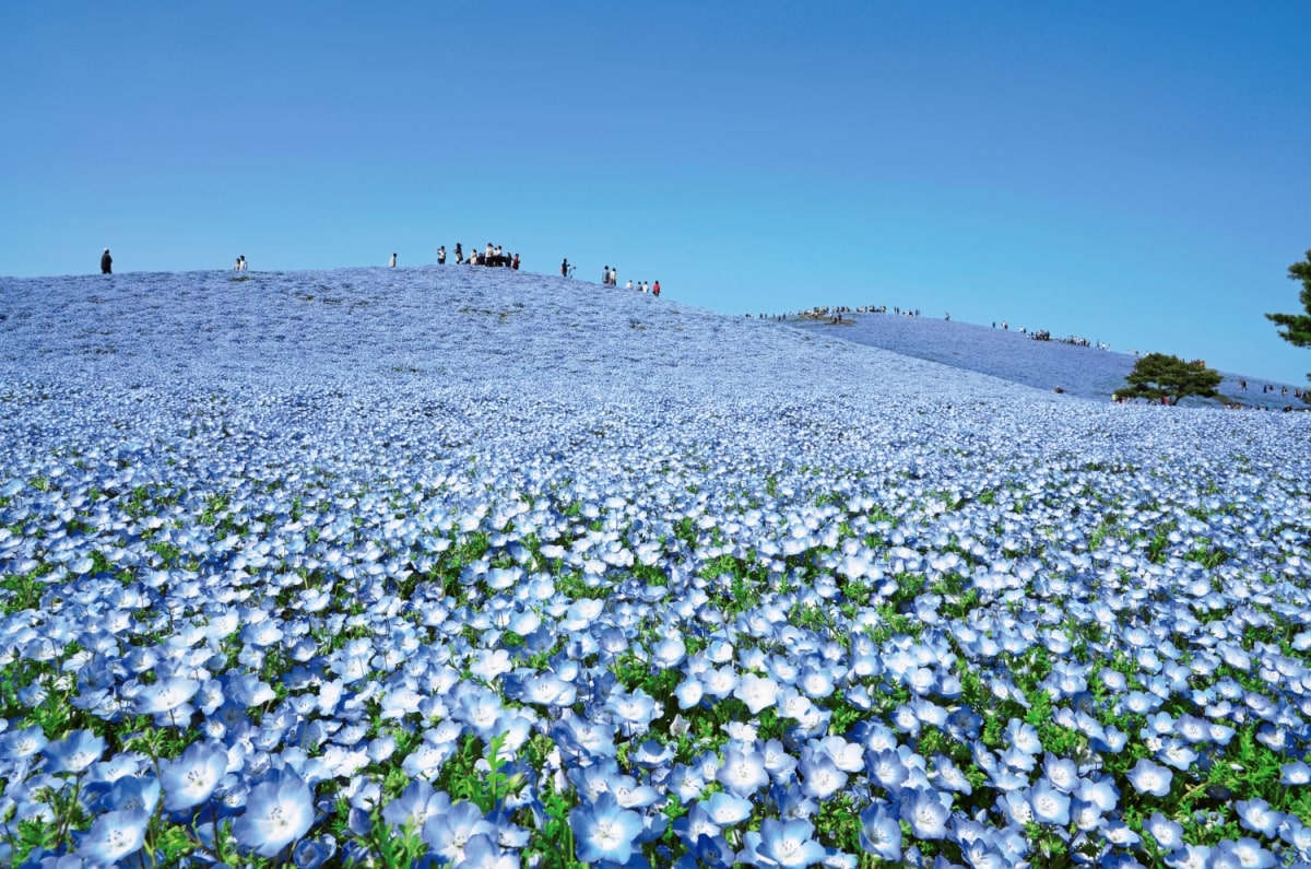 写真1