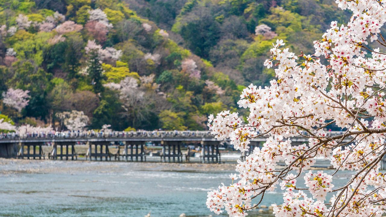 写真2