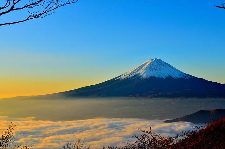 写真2
