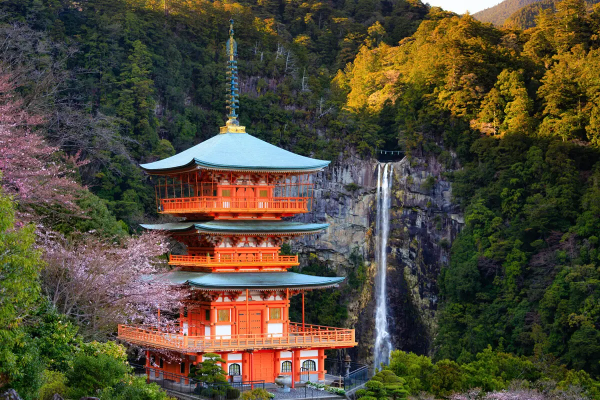写真3