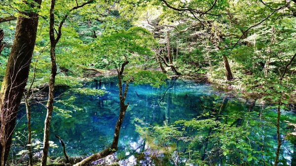 写真1