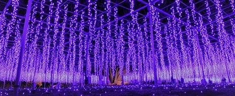 写真3