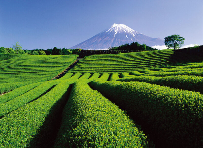 写真2