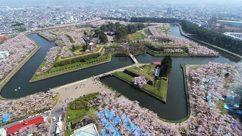 写真2