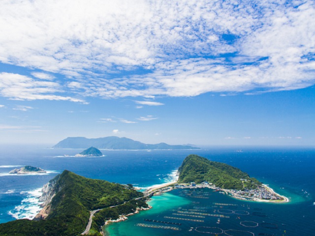 写真1
