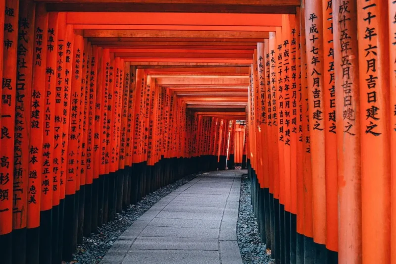 写真1