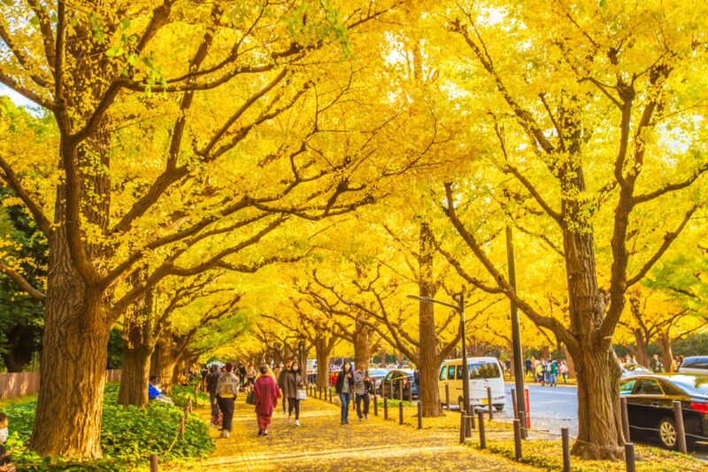 写真3