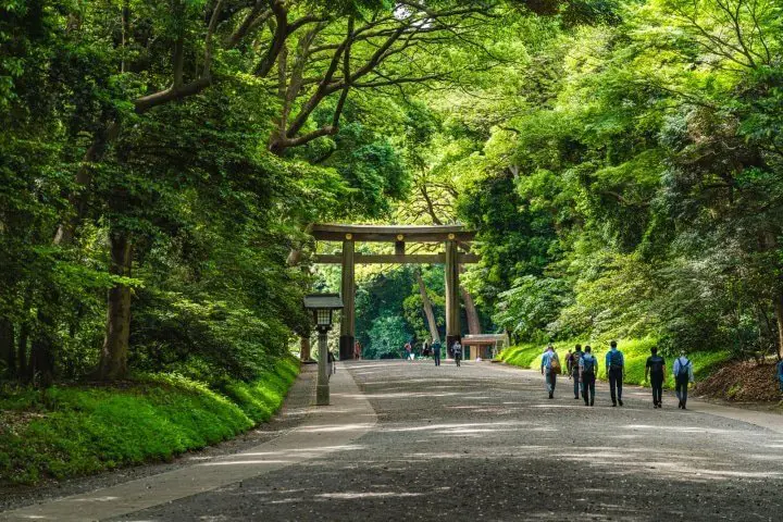 写真1
