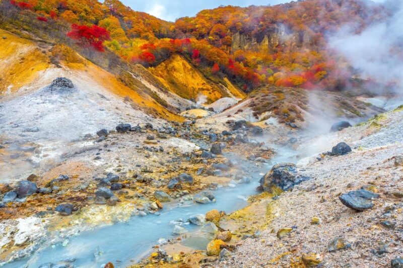 写真1