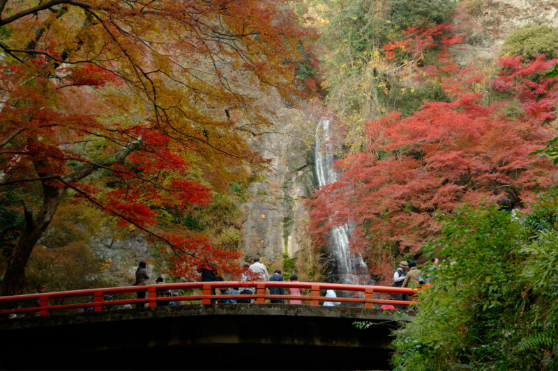 写真1