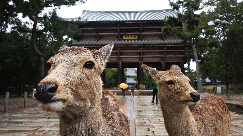 写真2