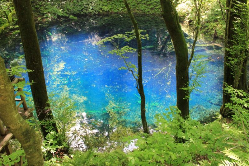 写真1
