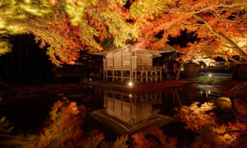 写真1