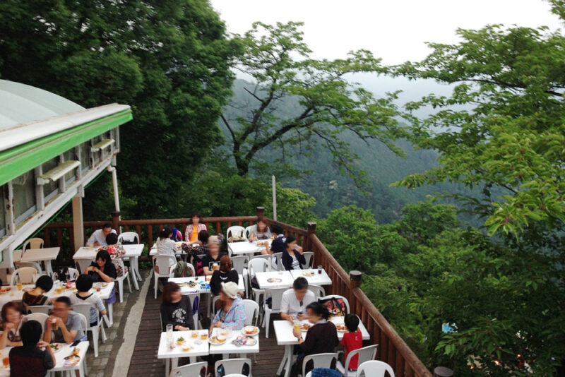 写真1